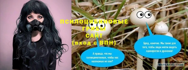MDMA Premium VHQ Аркадак